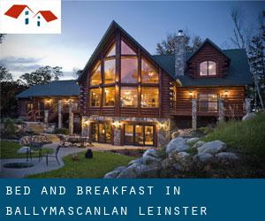 Bed and Breakfast in Ballymascanlan (Leinster)