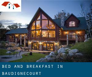 Bed and Breakfast in Baudignécourt